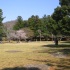 東大寺講堂跡