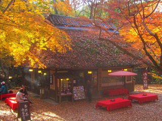 水谷茶屋 奈良観光おすすめガイド